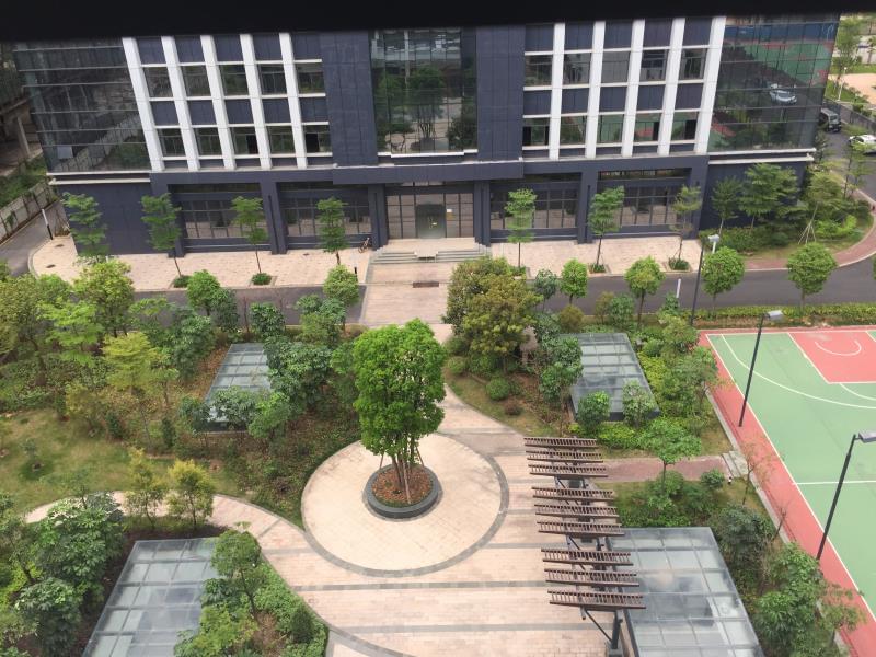 我司与苏州东宝海星签订厂区绿化工程项目