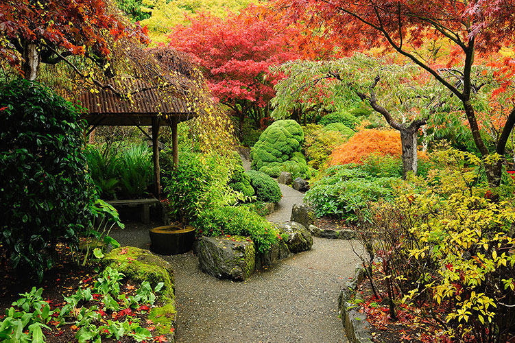 浅谈林业绿化工程施工与绿化养护的要点探析