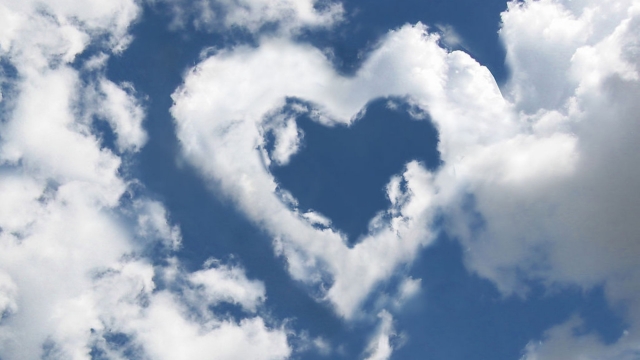 澳门威斯尼斯：园林绿化取得的成效