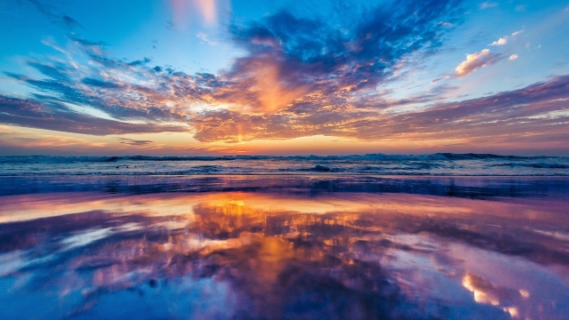 威斯尼斯公司：园林绿化苗木竹柏木