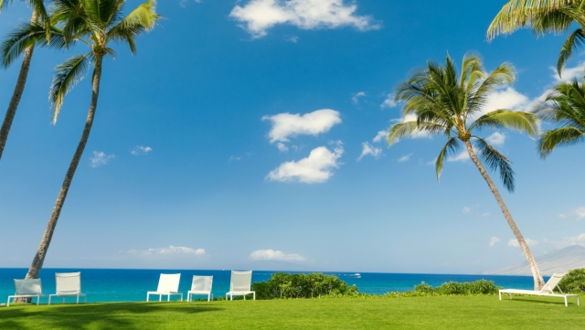 wns8888集团：园林绿化耐碱的树种