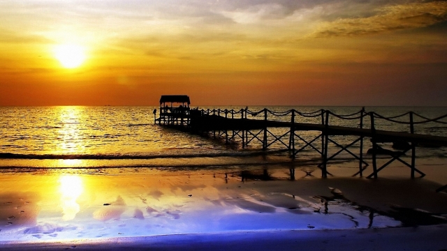 澳门威斯尼斯：园林绿化竹类分为几类