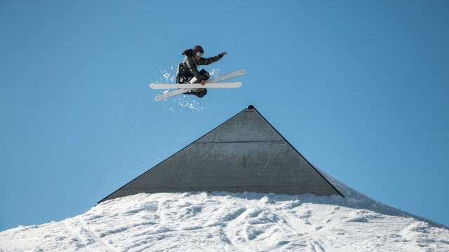 威斯尼斯集团：园林绿化种草垫