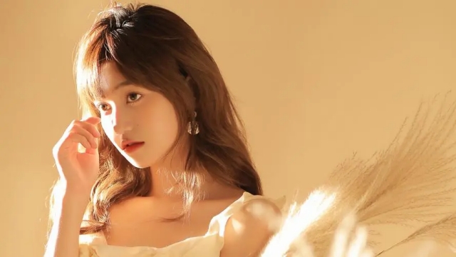 wns8888集团：园林绿化的种植土