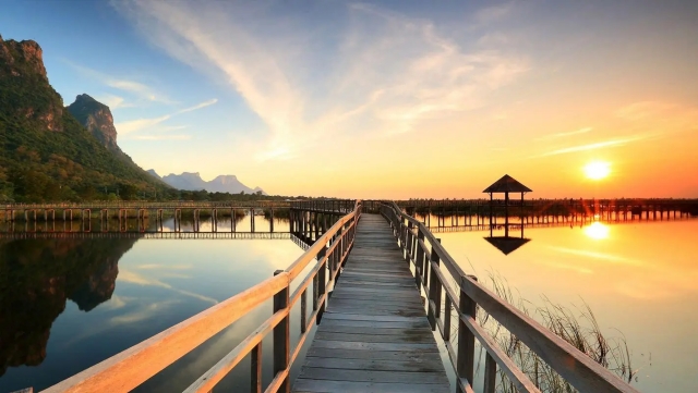 wns8888集团：园林绿化清淤河道