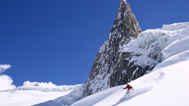 威斯尼斯集团：园林绿化喷什么药