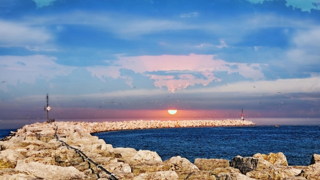 威斯尼斯公司：园林绿化观摩会