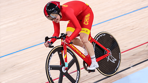 威斯尼斯集团：园林绿化苗圃土地