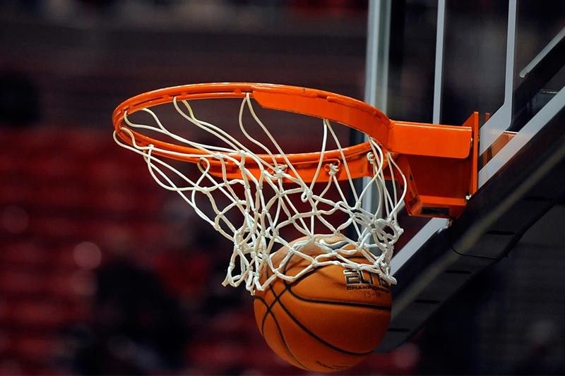 wns8888集团：园林绿化养护一平方