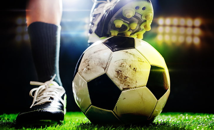 威斯尼斯集团：园林绿化跟园林景观