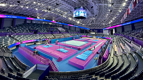 wns8888集团：园林绿化缅茄树