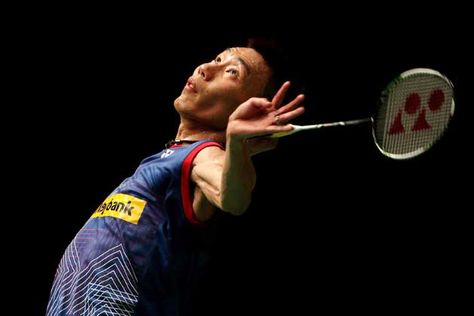 威斯尼斯公司：园林绿化有要菜饼吗